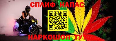 СК Усть-Джегута