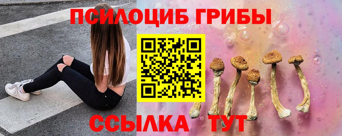 где можно купить наркотик  Псилоцибиновые грибы GOLDEN TEACHER  Вход с VPN  Алексеевка 