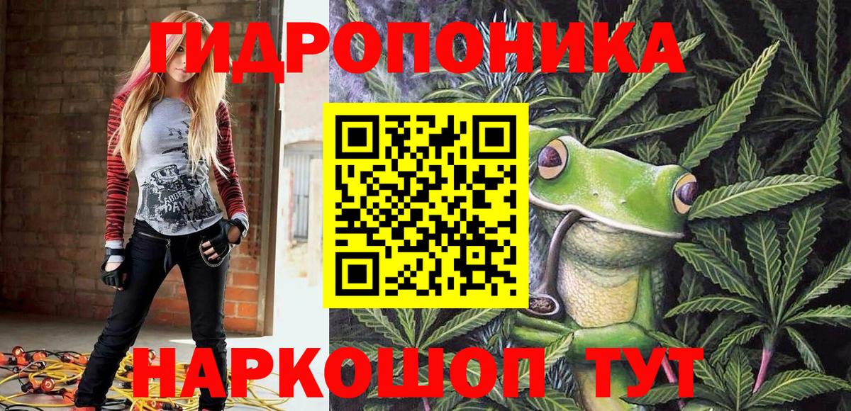 Канабис гибрид Алексеевка