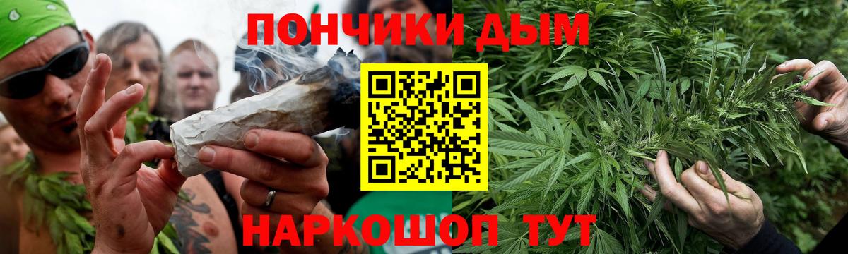 Бошки марихуана семена  МАРИХУАНА SATIVA & INDICA  Вход с VPN  Конопля SATIVA & INDICA  Алексеевка 